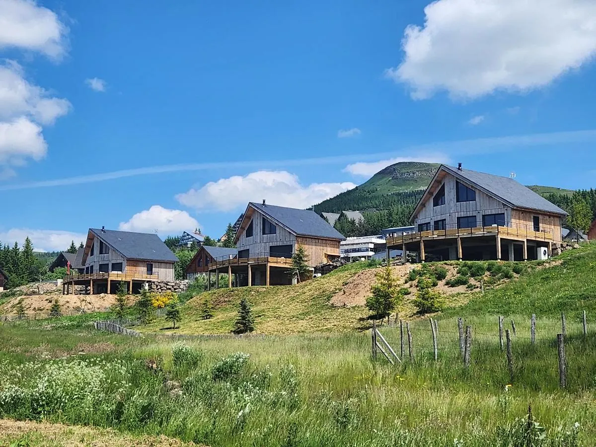 La Fleche 2 - Chalet Standing - Jacuzzi Privatif Besse-et-Saint-Anastaise 0*,